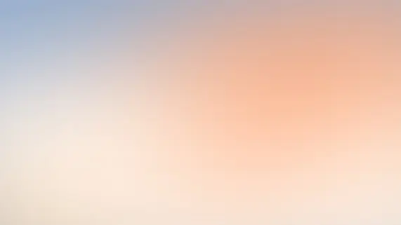 Betitall Casino Ondersteuning